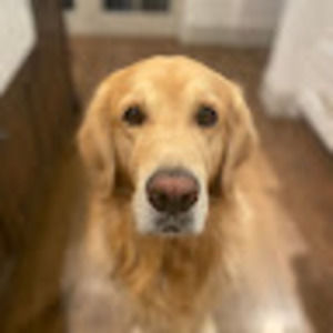 Meet your Posher, Audrey